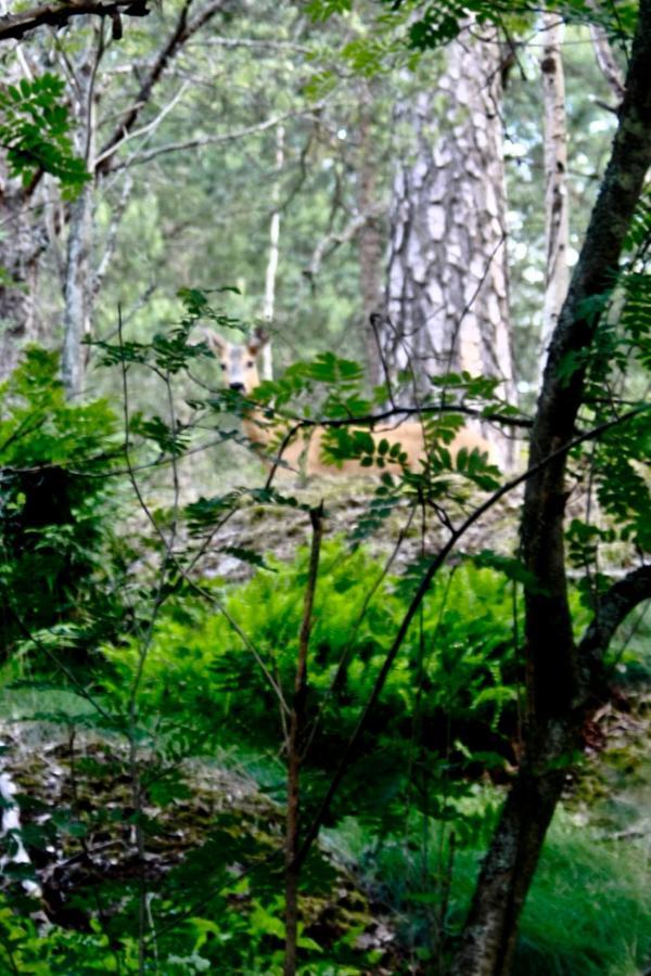 Bed&Breakfast In Nature 12 Min From City Free Bikes Stockholm Eksteriør bilde